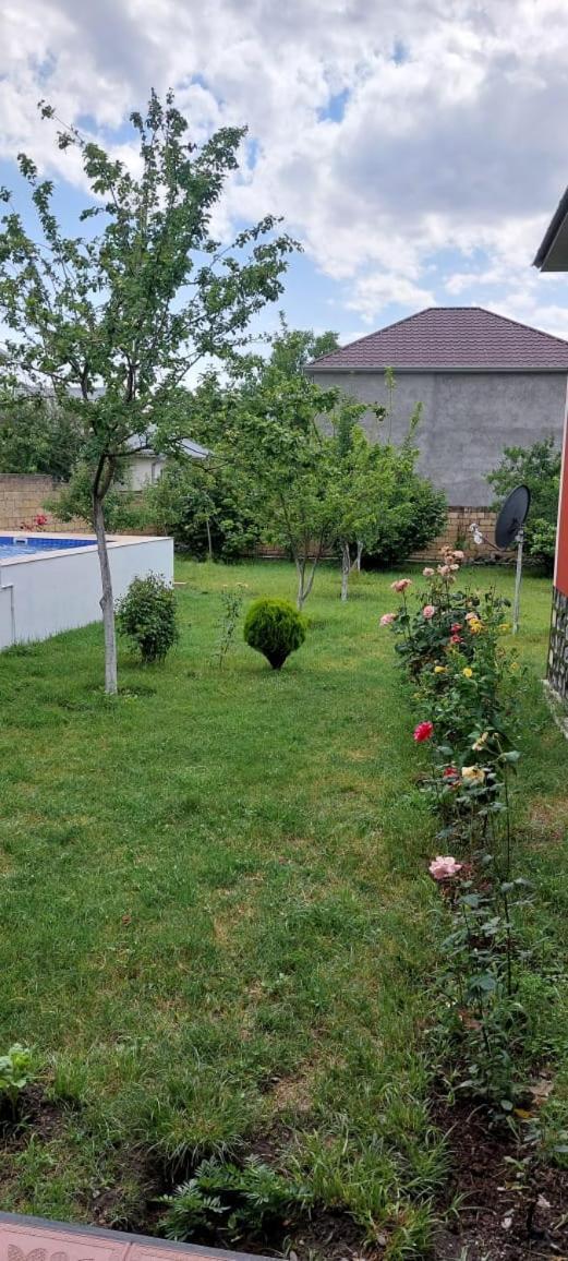 Villa Vilish Gabala Exterior foto